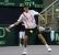 Tenis (49)